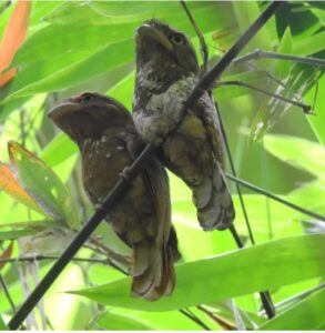 whatsapp image 2025 08 14 at 09.32.53