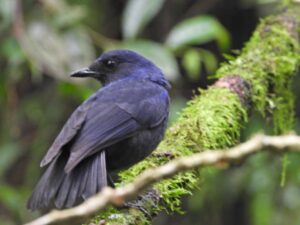 whatsapp image 2025 08 14 at 09.47.49