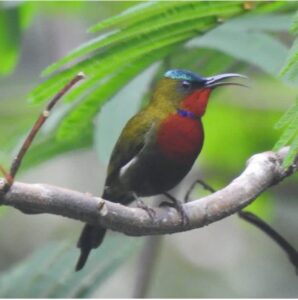 whatsapp image 2025 08 14 at 10.20.57