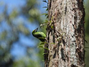 whatsapp image 2025 08 14 at 10.22.00