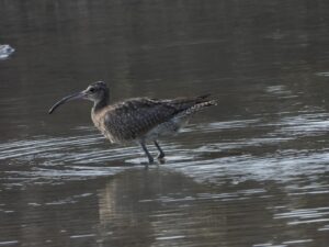 whatsapp image 2025 08 19 at 20.43.27