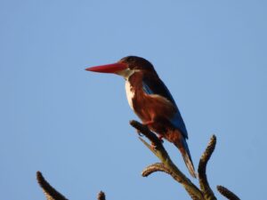 whatsapp image 2025 08 26 at 22.31.39