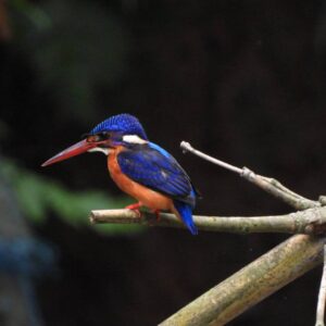 whatsapp image 2025 08 26 at 22.32.16